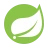 spring icon